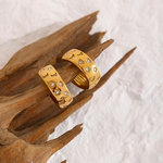 Boucles d'oreilles Danaé